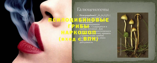 прущая мука Коряжма