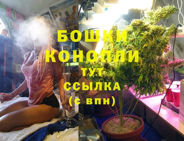 спайс Костерёво