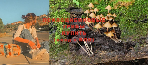 прущая мука Коряжма