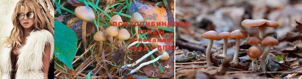 прущая мука Коряжма