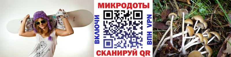 Галлюциногенные грибы Cubensis  дарнет шоп  Кемерово 