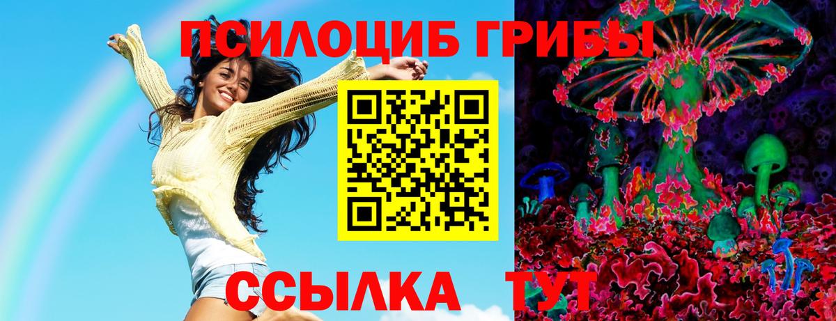 Галлюциногенные грибы прущие грибы Кемерово