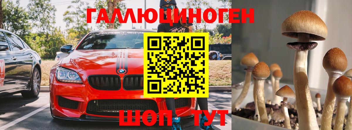Кемерово  Псилоцибиновые грибы ЛСД  Псилоцибиновые грибы прущие грибы  купить   Вход с VPN 