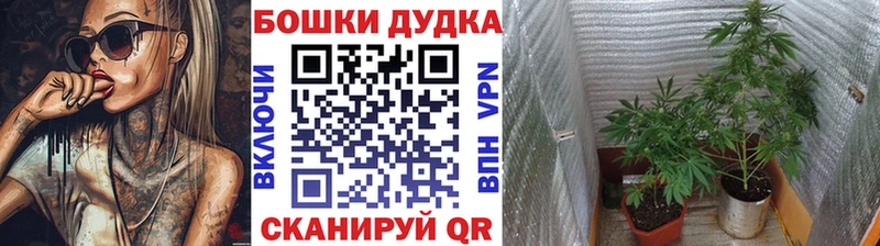 kraken зеркало Кемерово Канабис Amnesia продажа наркотиков
